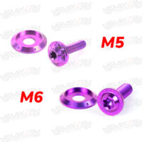 BAUT-WINDSHIELD-PURPLE-1