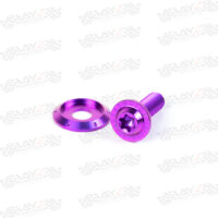 BAUT-WINDSHIELD-PURPLE