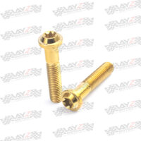BREMBO-HEAD-GOLD-copy-2