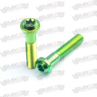 BREMBO-HEAD-GREEN-copy-2