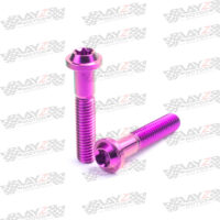 BREMBO-HEAD-PURPLE-copy-2
