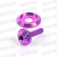 KENDMOTO_BAUTRING-TITANIUM-WINDSHIELD-M5-copy