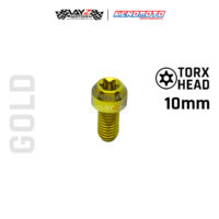 KENDMOTO_TITANIUM BAUT TORX copy 10