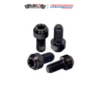 KENDMOTO_TITANIUM BAUT TORX copy 2