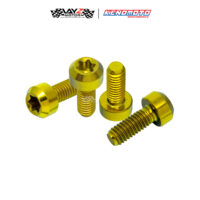 KENDMOTO_TITANIUM TORX M4X10 copy 2