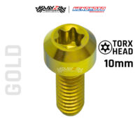 KENDMOTO_TITANIUM TORX M4X10 copy 7