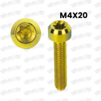 KENDMOTO_TORX-M4-TITANIUM-copy-8