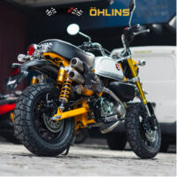 OHLINS_HO819 MONKEY 3 copy