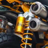 OHLINS_HO819 MONKEY 3 copy 2