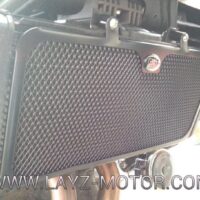 RG-Radiator-Guard-Kawasaki-ER6Ninja-650-3