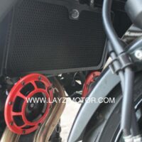 RG-Radiator-Guard-Kawasaki-ER6Ninja-650-5