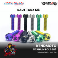 TORX-blue-copy-6