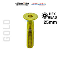 KENDMOTO_TITANIUM BAUT VERSENG COUNTERSUNK M5X25 copy 2