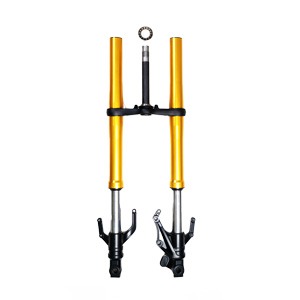 Front Fork Suspension
