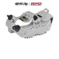 RPD_ZENITH CALIPER copy 9a