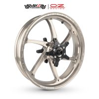 OZ RACING_ZX6R GASS WHEELS SILVER 2