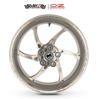 OZ RACING_ZX6R GASS WHEELS SILVER 5