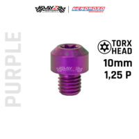 KENDMOTO_TITANIUM TORX M10X10 1,25P copy 12