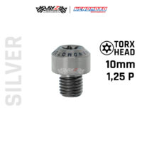 KENDMOTO_TITANIUM TORX M10X10 1,25P copy 8