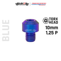 KENDMOTO_TITANIUM TORX M10X10 1,25P copy 9
