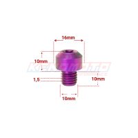 KENDMOTO_TORX M10x10 PURPLE