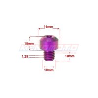 KENDMOTO_TORX M10x10 PURPLE