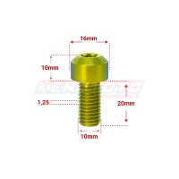 KENDMOTO_TORX M10x20 GOLD
