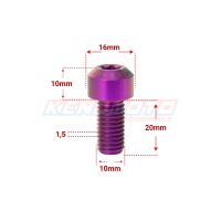 KENDMOTO_TORX M10x20 PURPLE