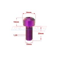 KENDMOTO_TORX M10x20 PURPLE