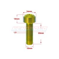 KENDMOTO_TORX M10x30 GOLD