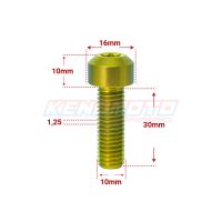 KENDMOTO_TORX M10x30 GOLD
