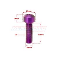 KENDMOTO_TORX M10x30 PURPLE