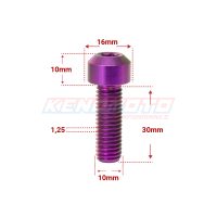 KENDMOTO_TORX M10x30 PURPLE