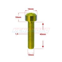 KENDMOTO_TORX M10x40 GOLD