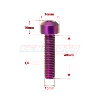 KENDMOTO_TORX M10x40 PURPLE