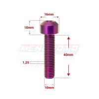KENDMOTO_TORX M10x40 PURPLE