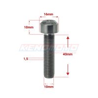 KENDMOTO_TORX M10x40 SILVER