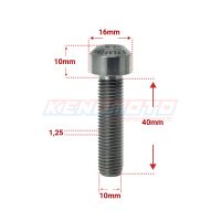KENDMOTO_TORX M10x40 SILVER