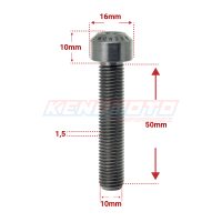 KENDMOTO_TORX M10x50 SILVER