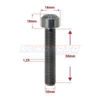 KENDMOTO_TORX M10x50 SILVER