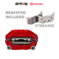 BREMBO_HYPURE RIGHT 100mm copy