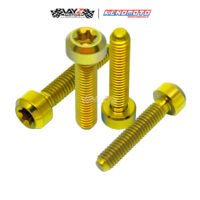 KENDMOTO_TITANIUM BAUT TORX M4X25 copy 3