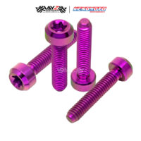 KENDMOTO_TITANIUM BAUT TORX M4X25 copy 5