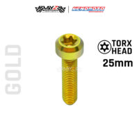 KENDMOTO_TITANIUM BAUT TORX M4X25 copy 8