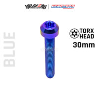 KENDMOTO_TITANIUM BAUT TORX M4X30 copy 7