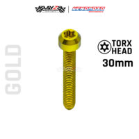 KENDMOTO_TITANIUM BAUT TORX M4X30 copy 8