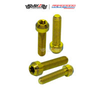 KENDMOTO_TITANIUM BAUT TORX M5X20 copy 3
