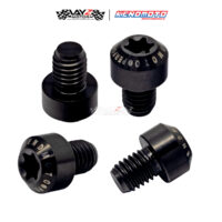 KENDMOTO_TITANIUM TORX M8X10 copy