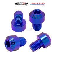 KENDMOTO_TITANIUM TORX M8X10 copy 3