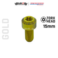 KENDMOTO_TITANIUM TORX M8X15 copy 10